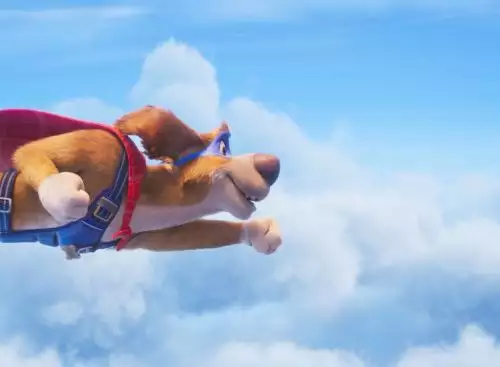 CharlieTheWonderdog_134123461396946445_big-cine_deskt.webp