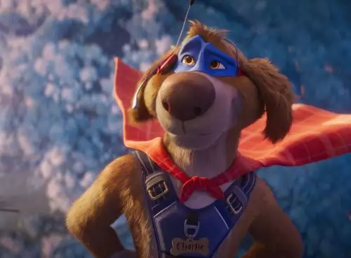 CharlieTheWonderdog_134123461402688086_big-cine_deskt.webp